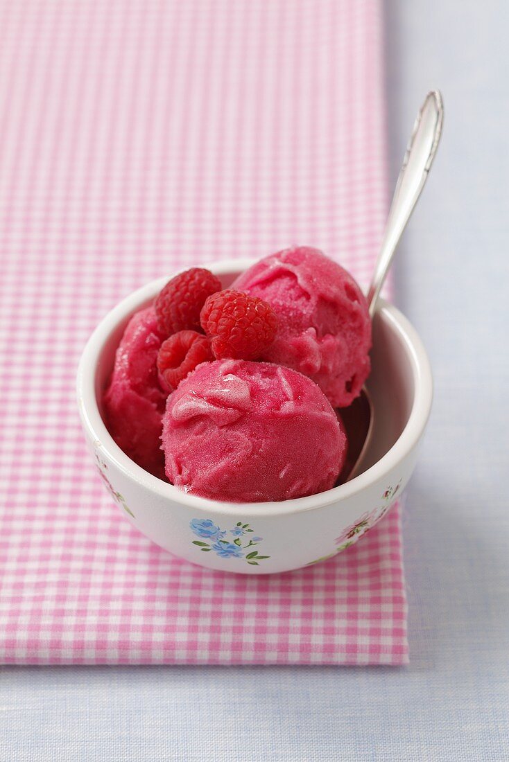 Raspberry sorbet, garnished with fresh raspberries