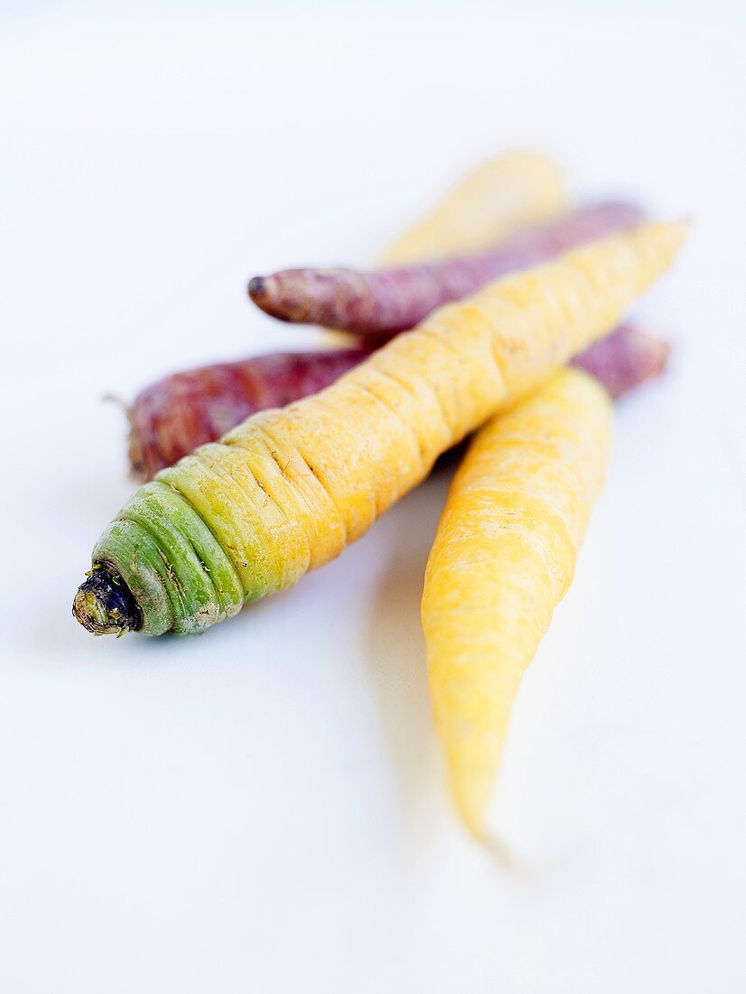 Palatinate carrots