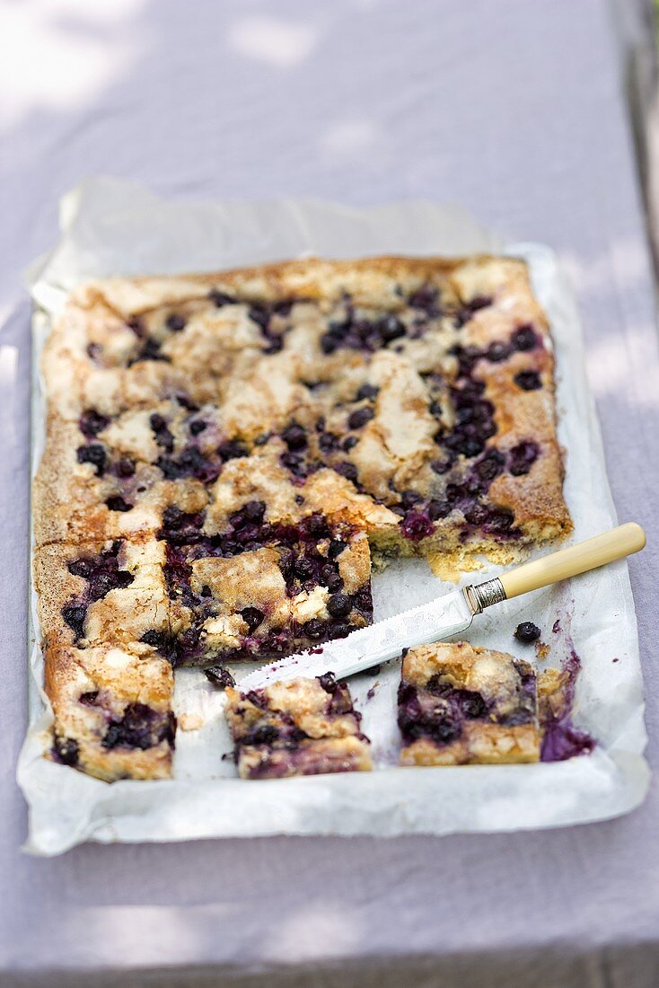 Blueberry and butter tray bake cake