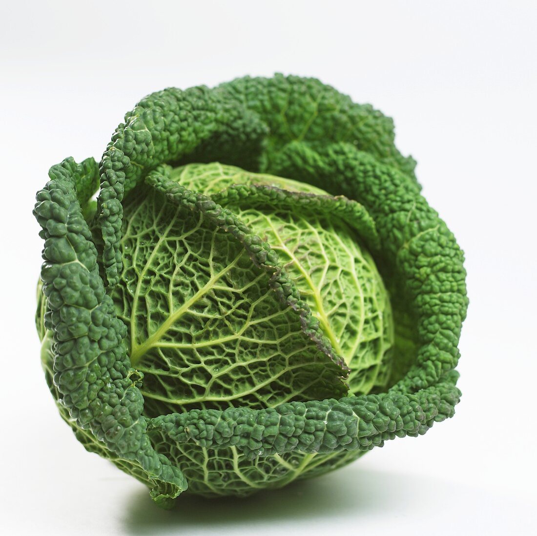 A savoy cabbage