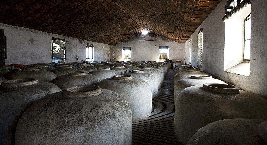 Weinlagerung in Lehmkrügen im Weinkeller Bodega Alvear in Montilla, Spanien