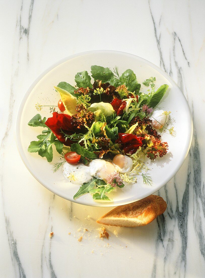 Green Salads with Poached Quail Eggs