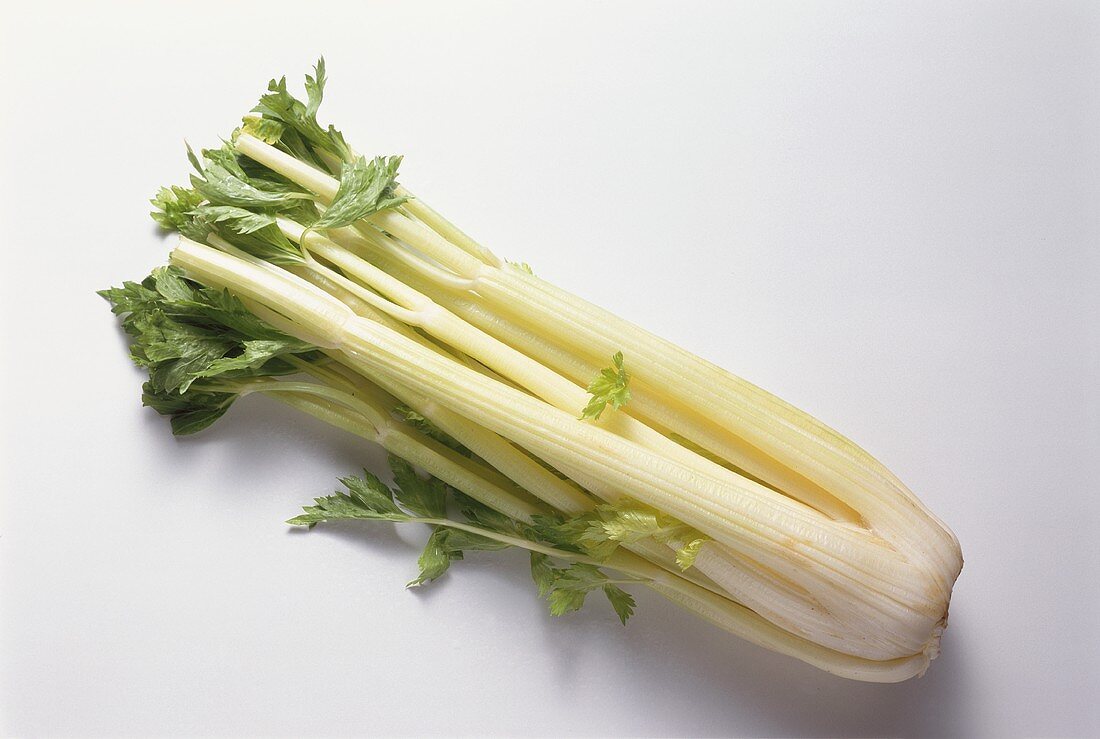 Bunch of Fresh Celery