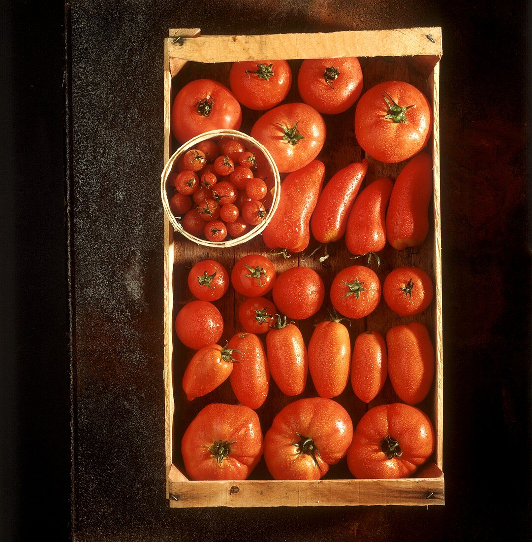 Box with various Kinds of Tomatoes