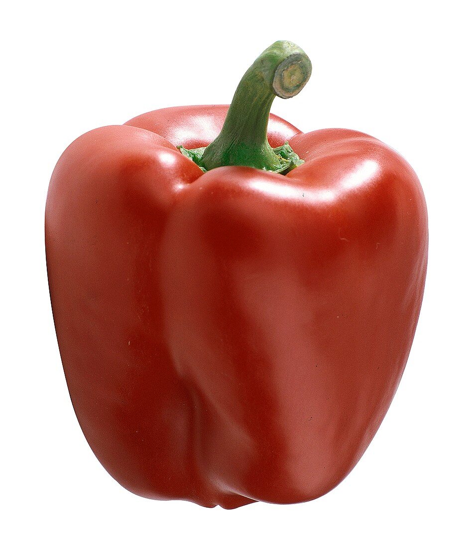 Single Red Bell Pepper