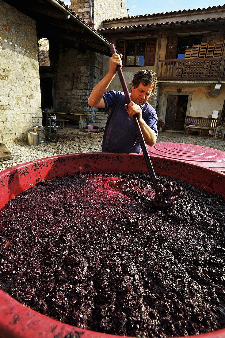 A man stirring the mash in the yard of the Ren cel vineyard, Slovenia