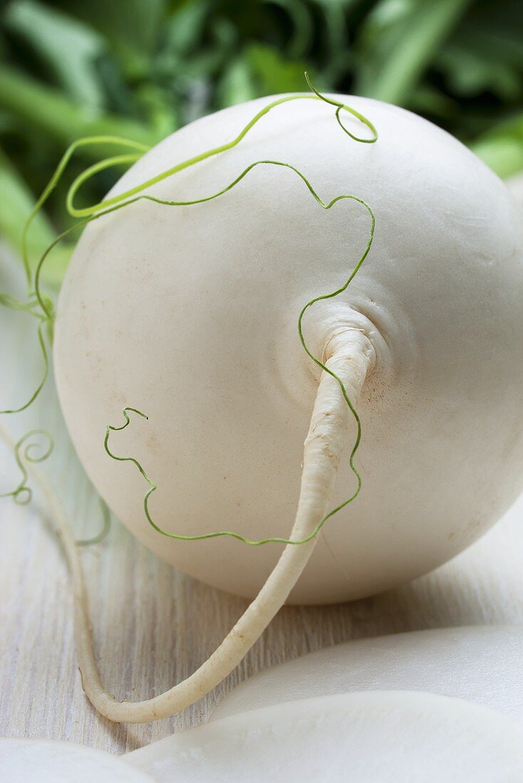 A turnip with green