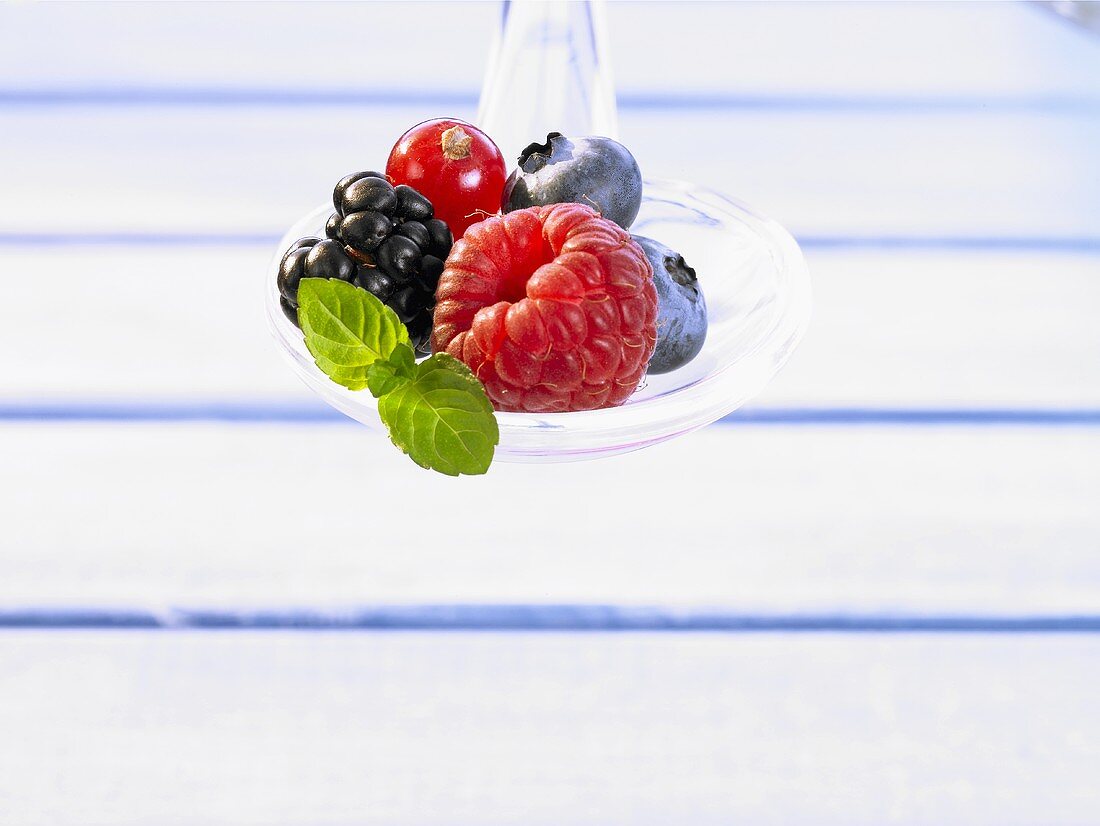 Verschiedene Beeren auf Löffel