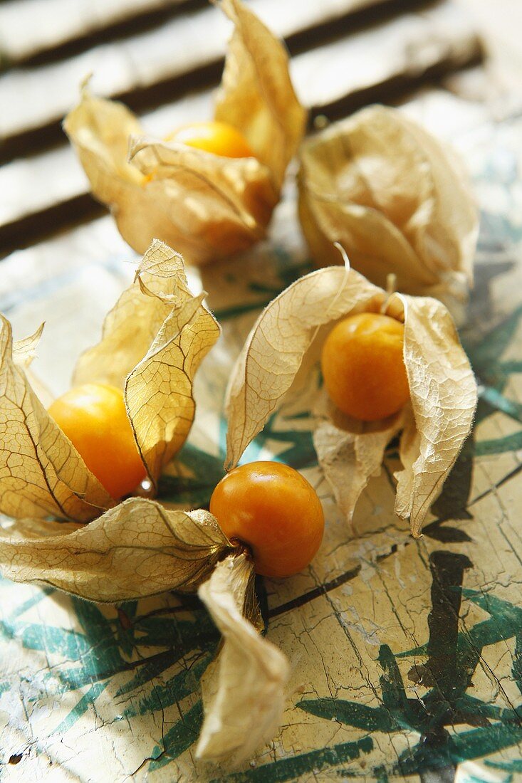 Physalis with husks