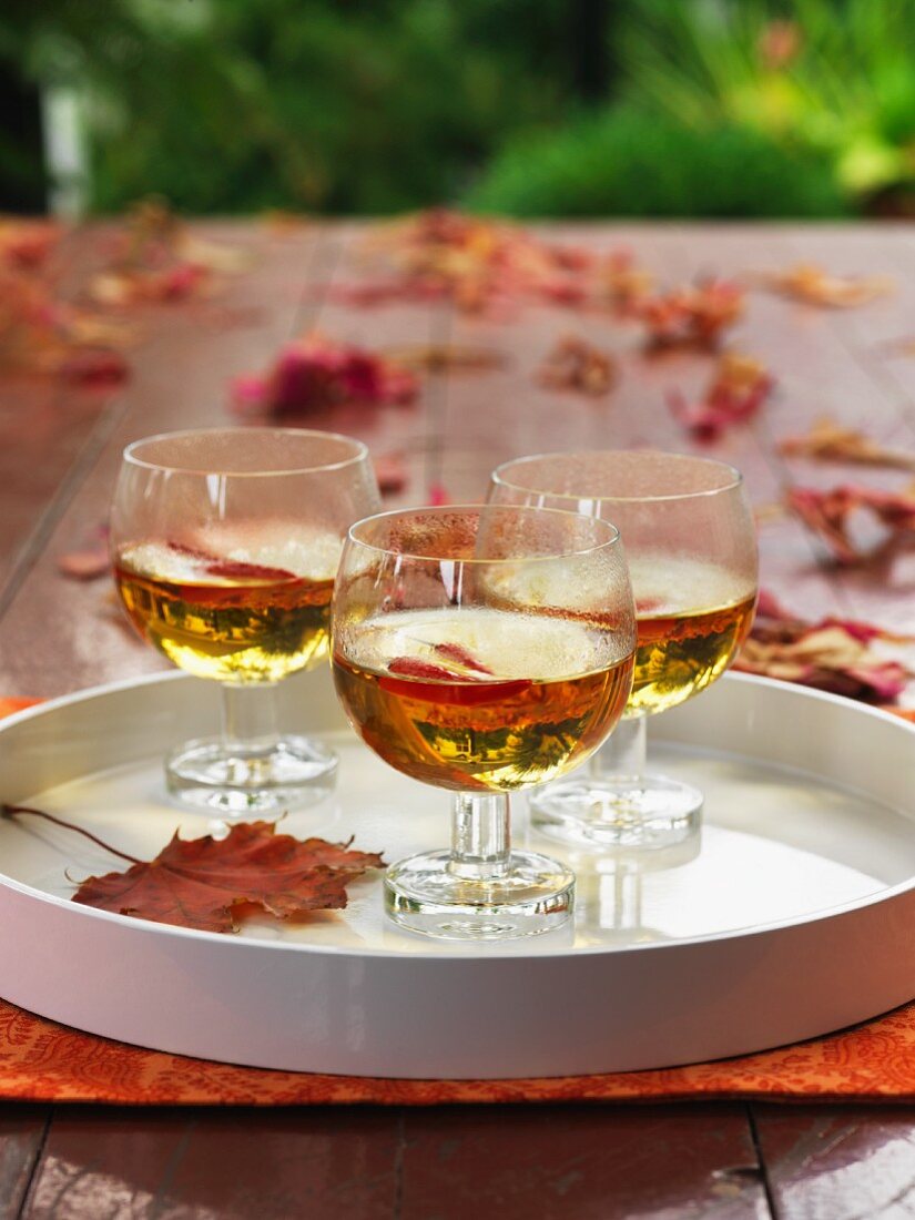 White wine punch with chillis on an autumnal table