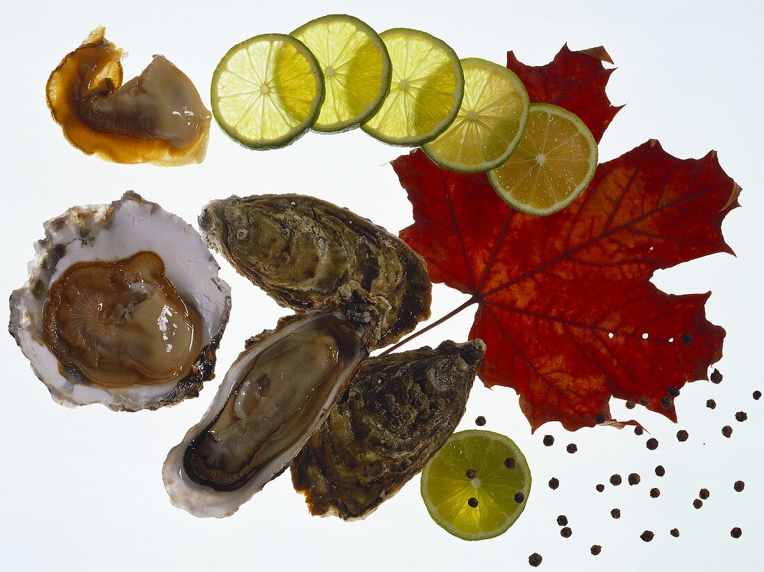 Oysters with Limes