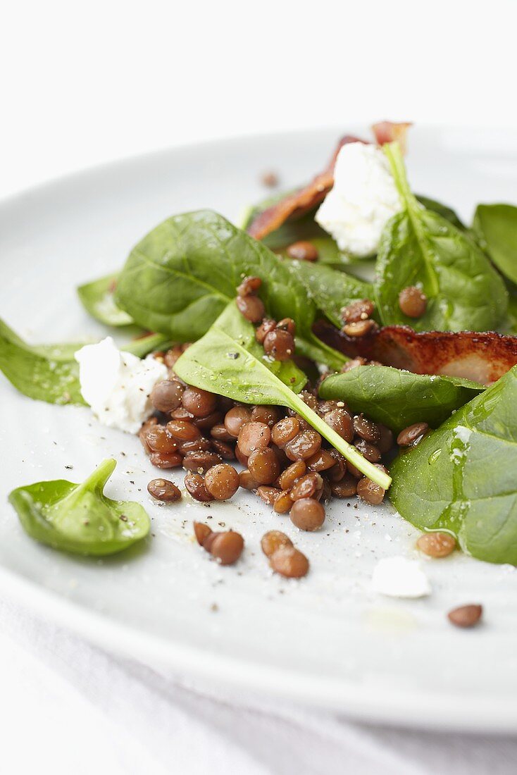 Spinach salad with lentils, goat's cream cheese and bacon