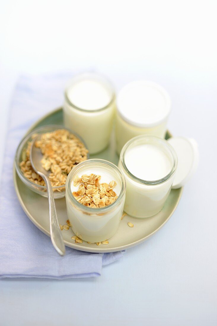 Selbstgemachtes Joghurt mit Cerealien und Kleie