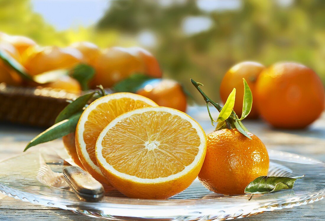 Halbierte Orange und Mandarinen auf einem Glasteller