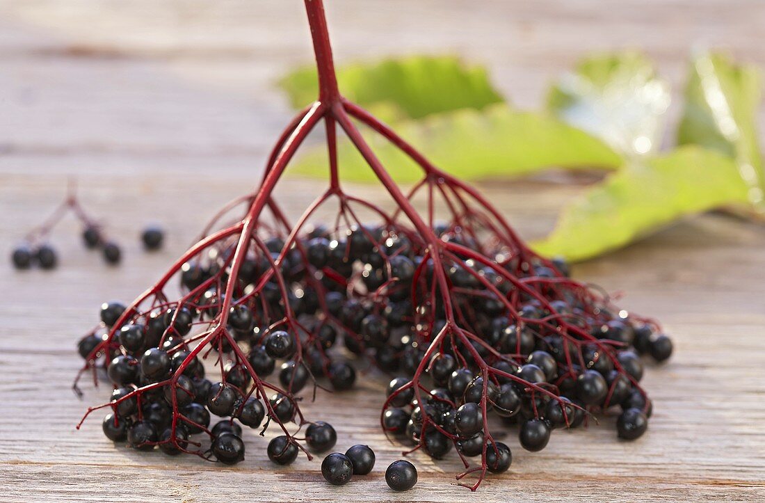 Elderberries