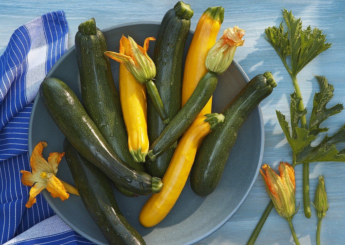 Gelbe und grüne Zucchini mit Blüten