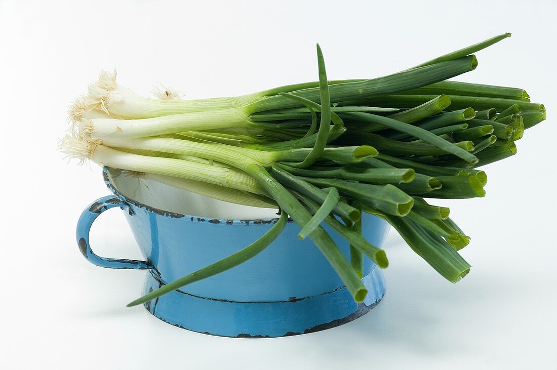 Spring onions in a colander