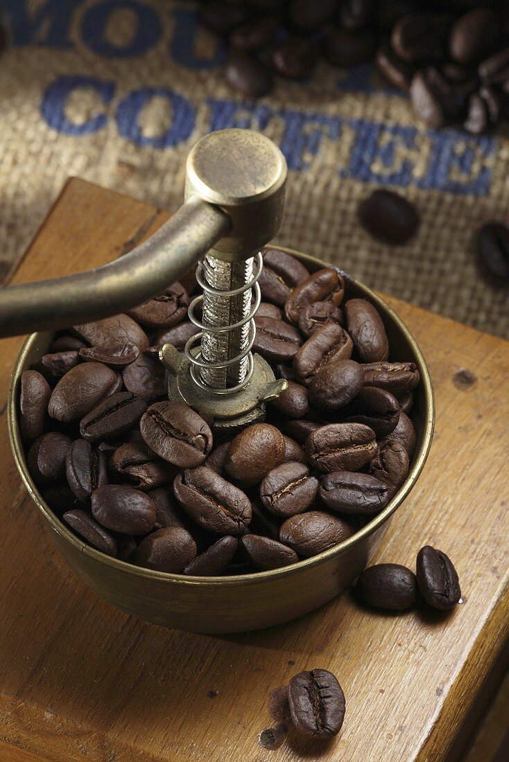 Coffee beans in an old fashioned hand coffee grinder