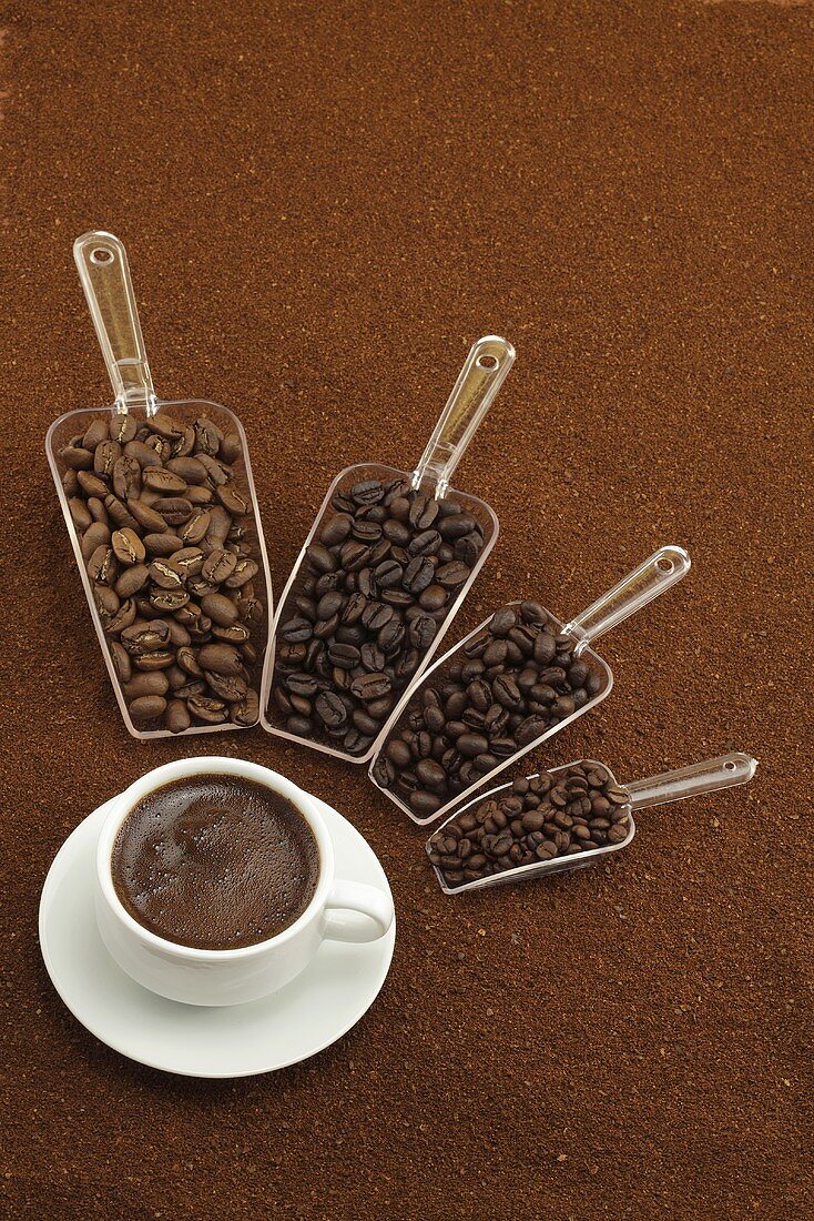 Verschiedene Kaffeesorten in Löffeln um eine Kaffeetasse aufgereiht