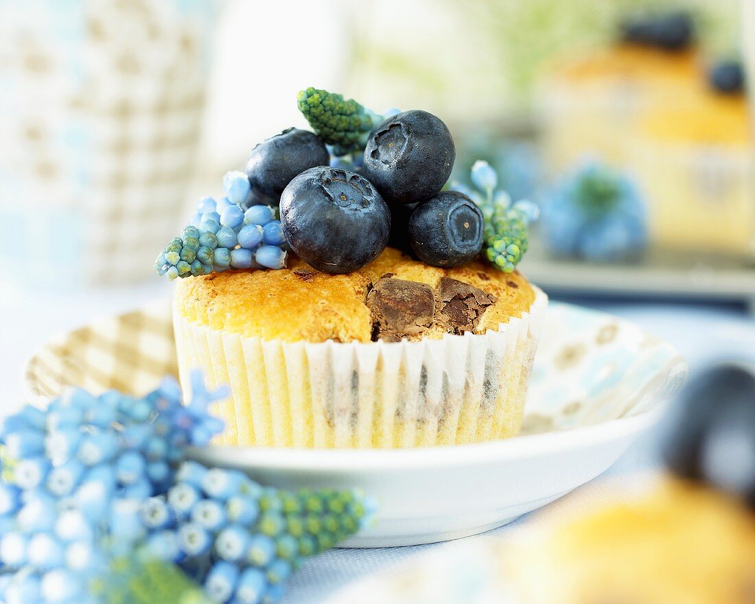 Cupcake mit Traubenhyazinthen und Blaubeeren