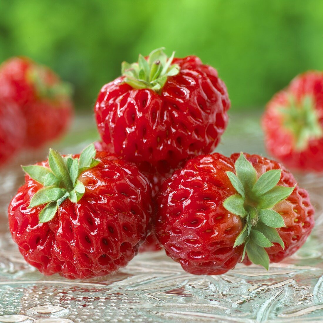 Erdbeeren 'Framberry'
