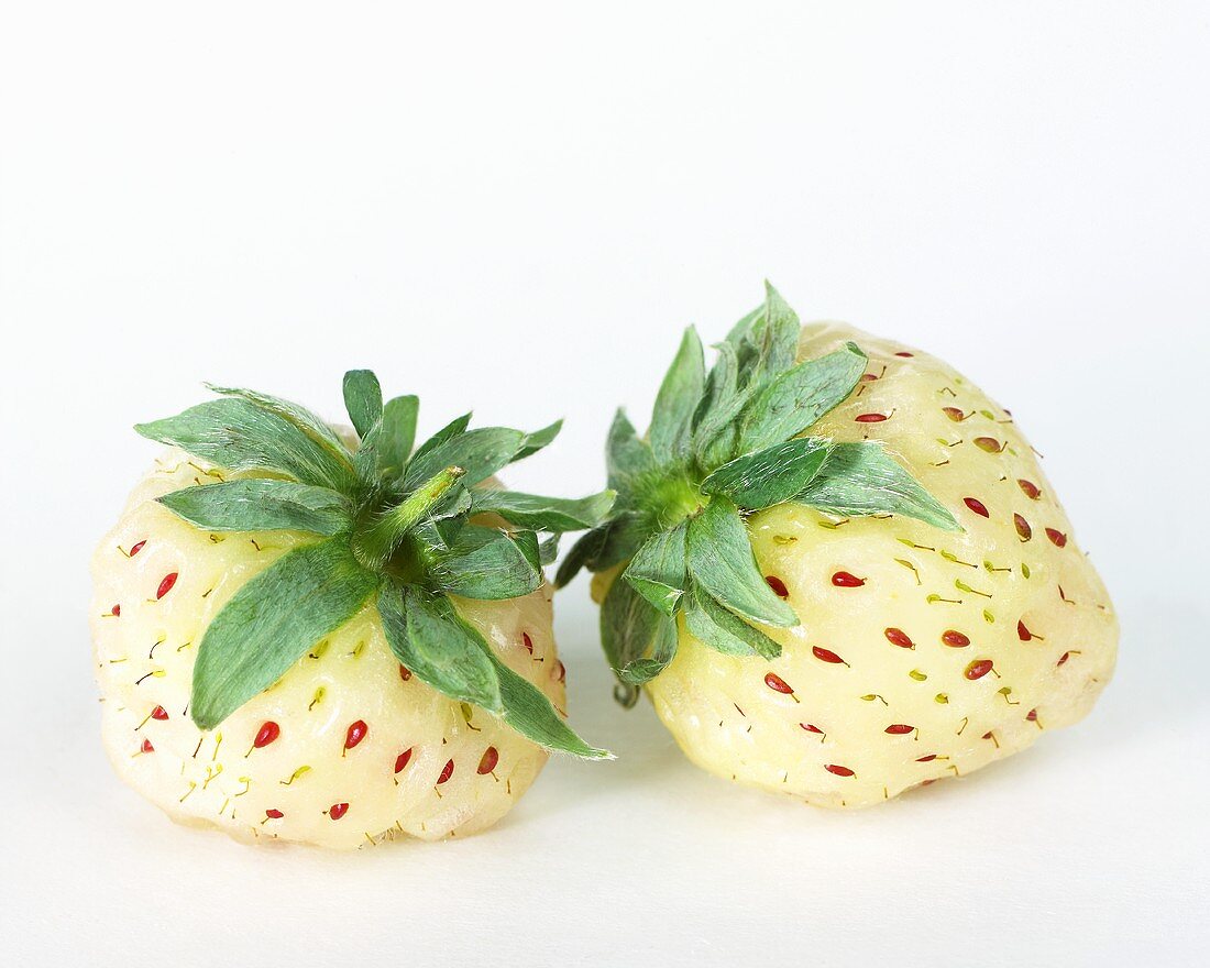Zwei weiße Erdbeeren (Ananas-Erdbeeren)