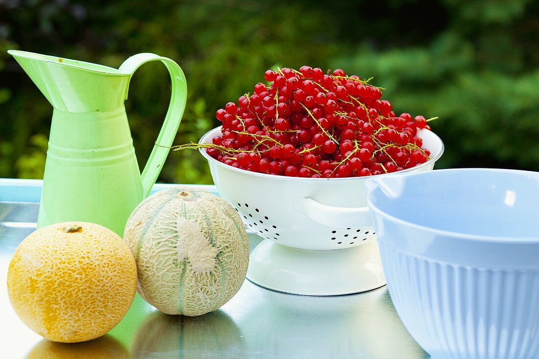 Still life with red currants