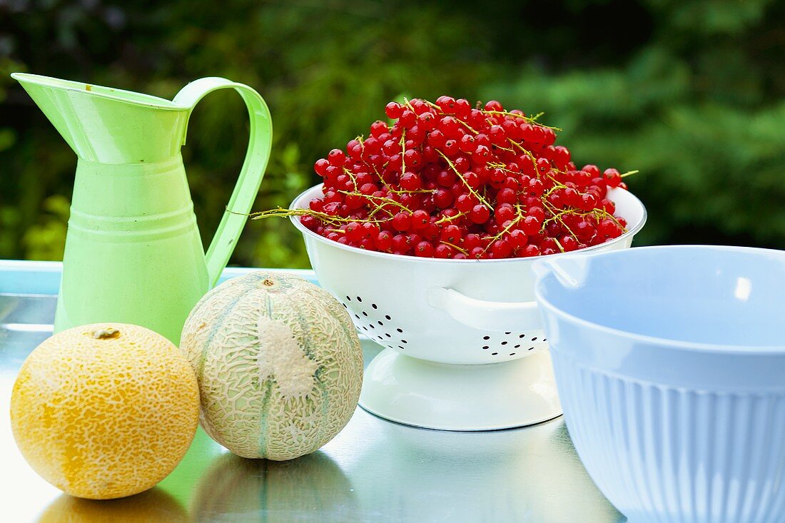 Stillleben mit roten Johannisbeeren