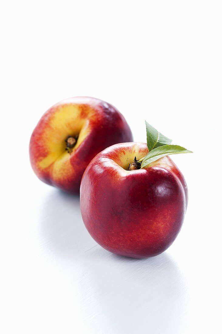 Two nectarines