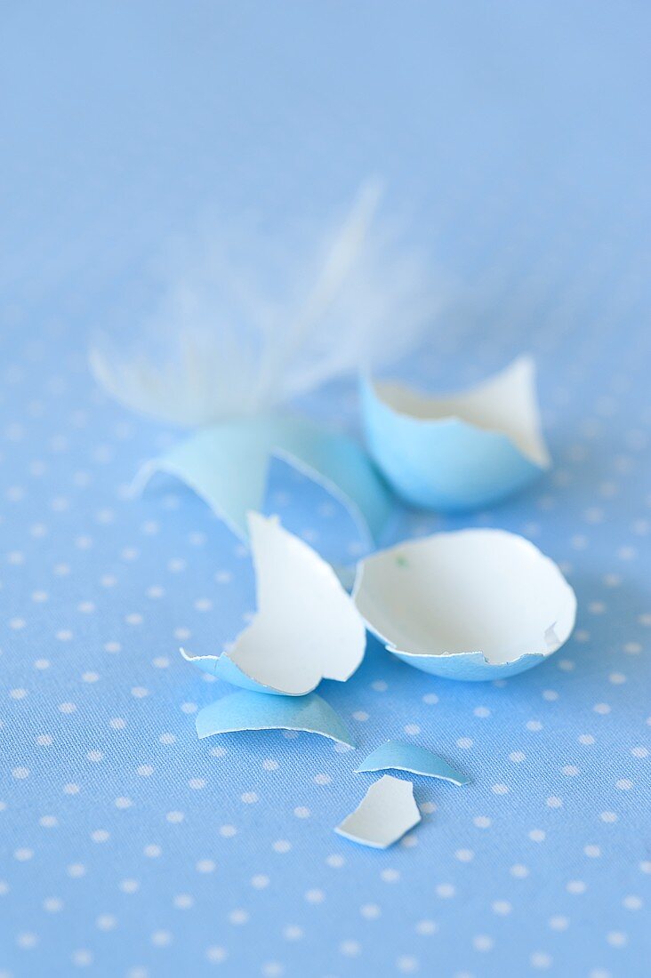 Gebrochene Eierschale und eine weiße Feder auf blau-weißem Untergrund