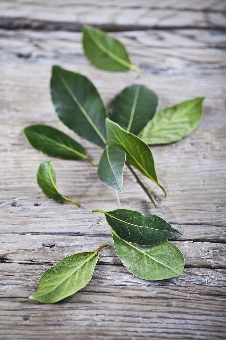 Fresh bay leaves on a wood background