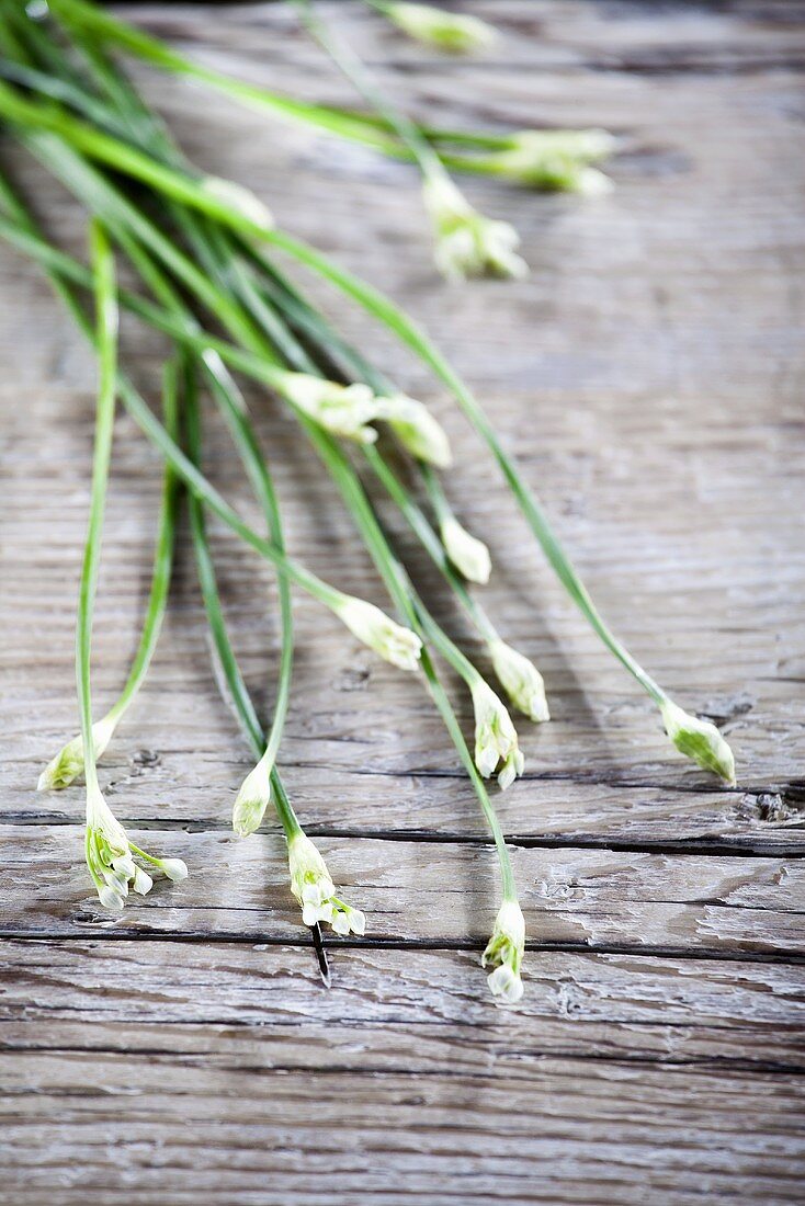 Fresh chives on a wood background