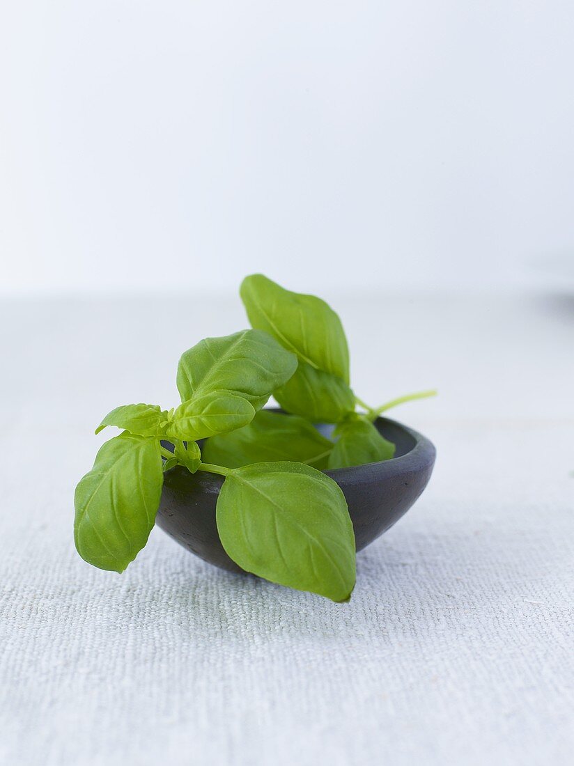 Fresh basil in a bowl