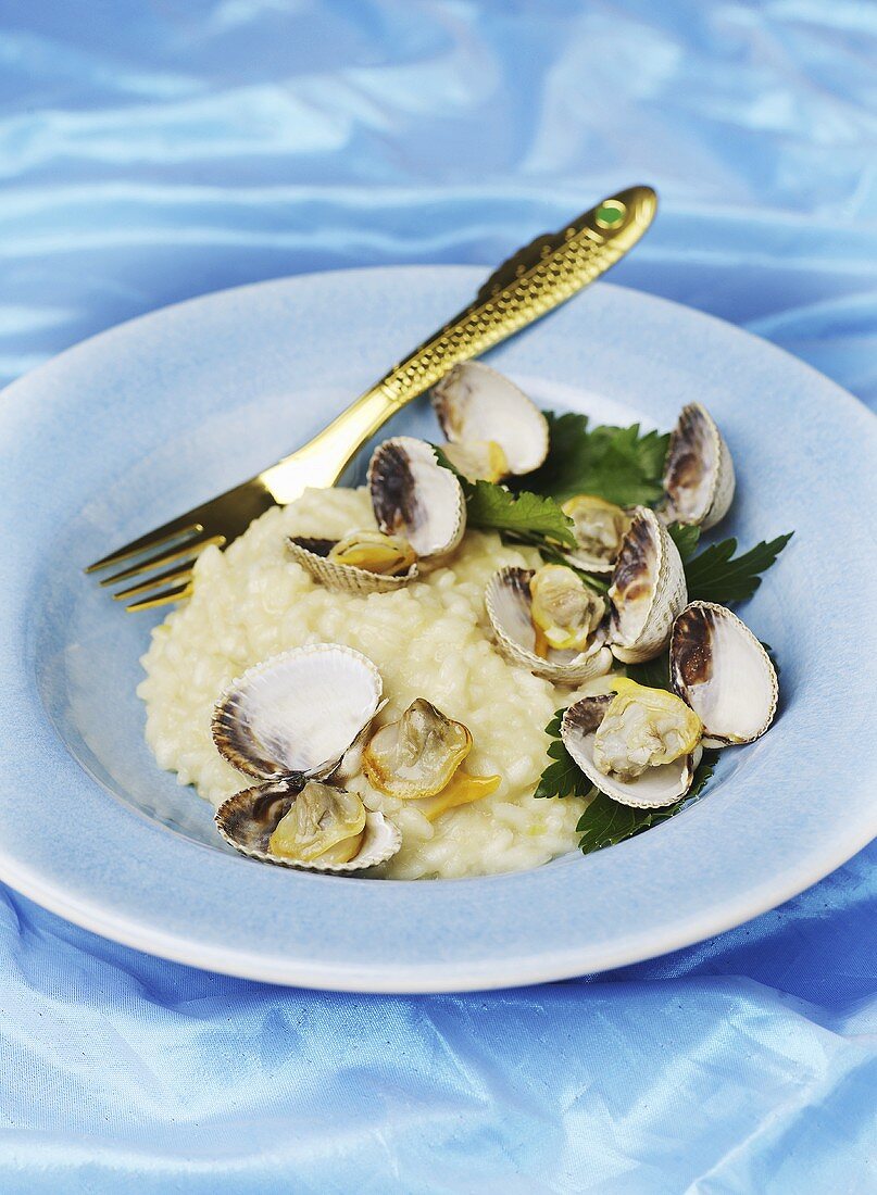 Risotto with Venus mussels