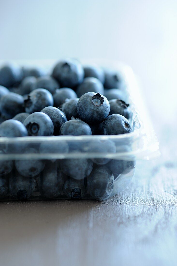 Frische Heidelbeeren in Plastikschale