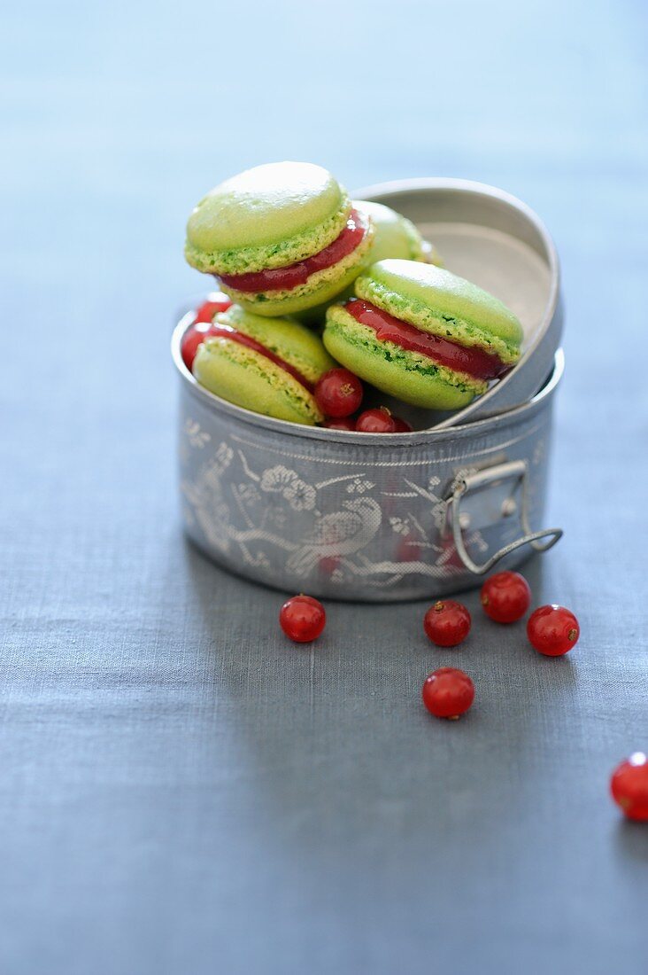 Macarons mit Rhabarber-Johannisbeer-Konfitüre