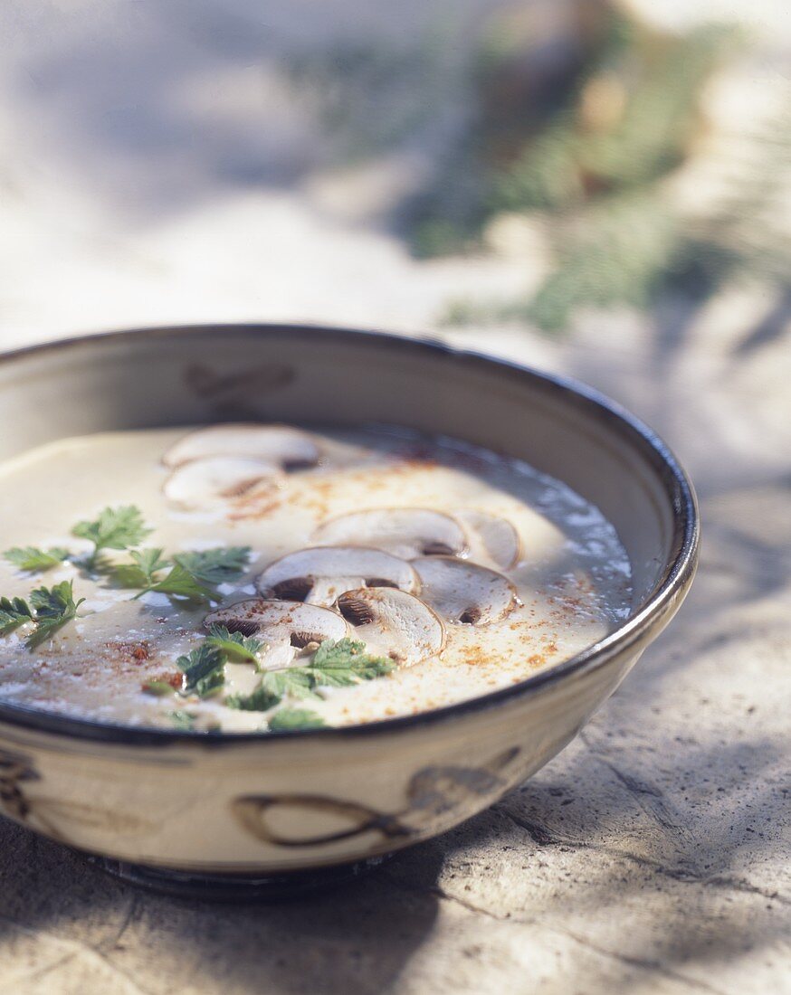 Creamed mushroom soup