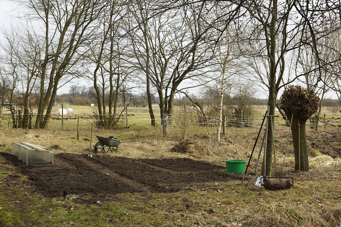 Frühbeet im Gemüsegarten, Schubkarre, Gartenwerkzeug