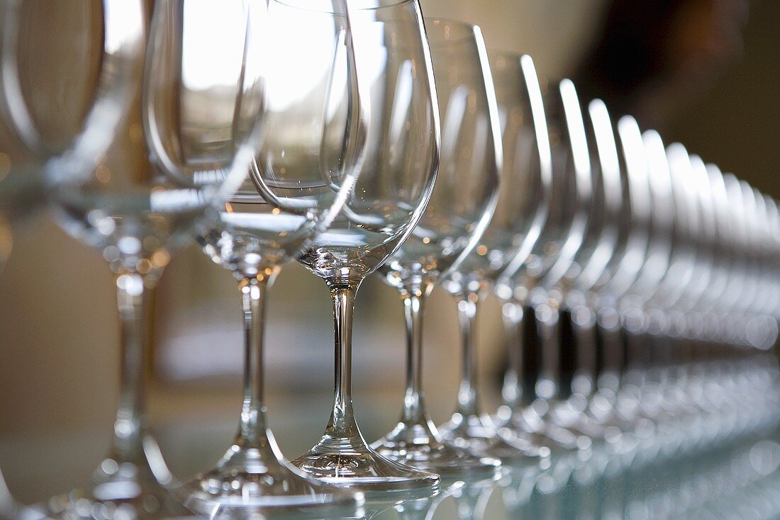 Reihe von leeren Weingläsern für die Weinverkostung (Weingut Château Lynch-Bages, Frankreich)