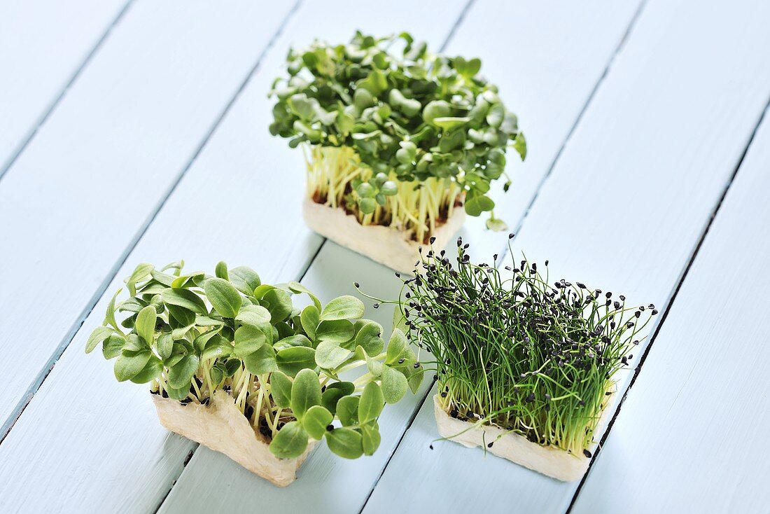 Various types of cress