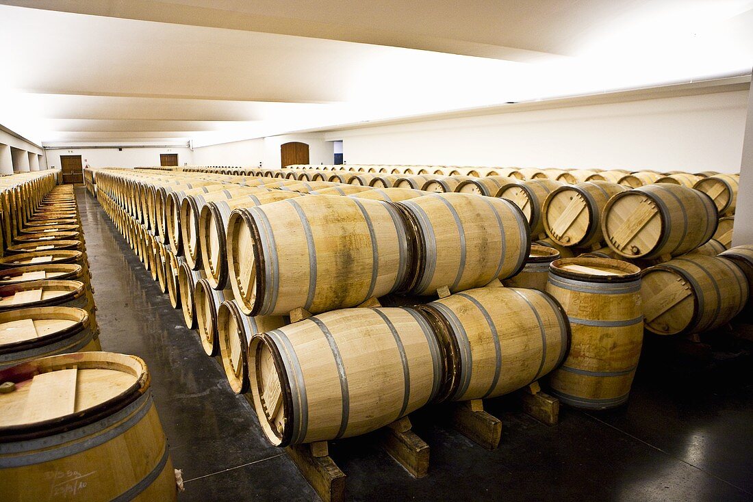 Wine aging in wooden barrels (Chateau Lynch-Bages Winery, France)