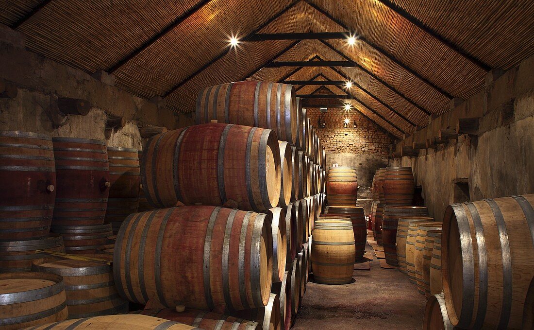 Weinfässer im Keller (Vondeling, Paarl, Western Cape, SA)