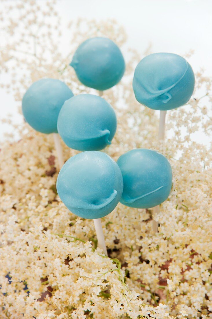 Light blue cake pop stuck into elderflowers