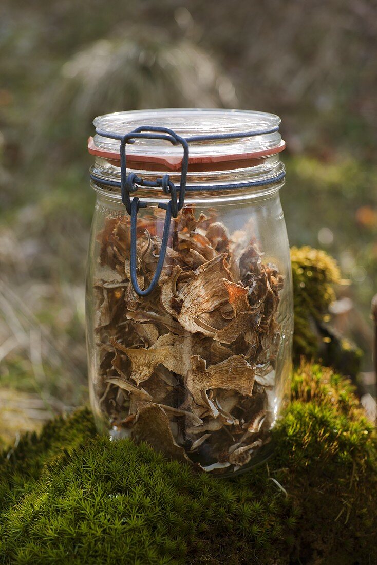 Dried porcini mushrooms in a preserving jar on moss