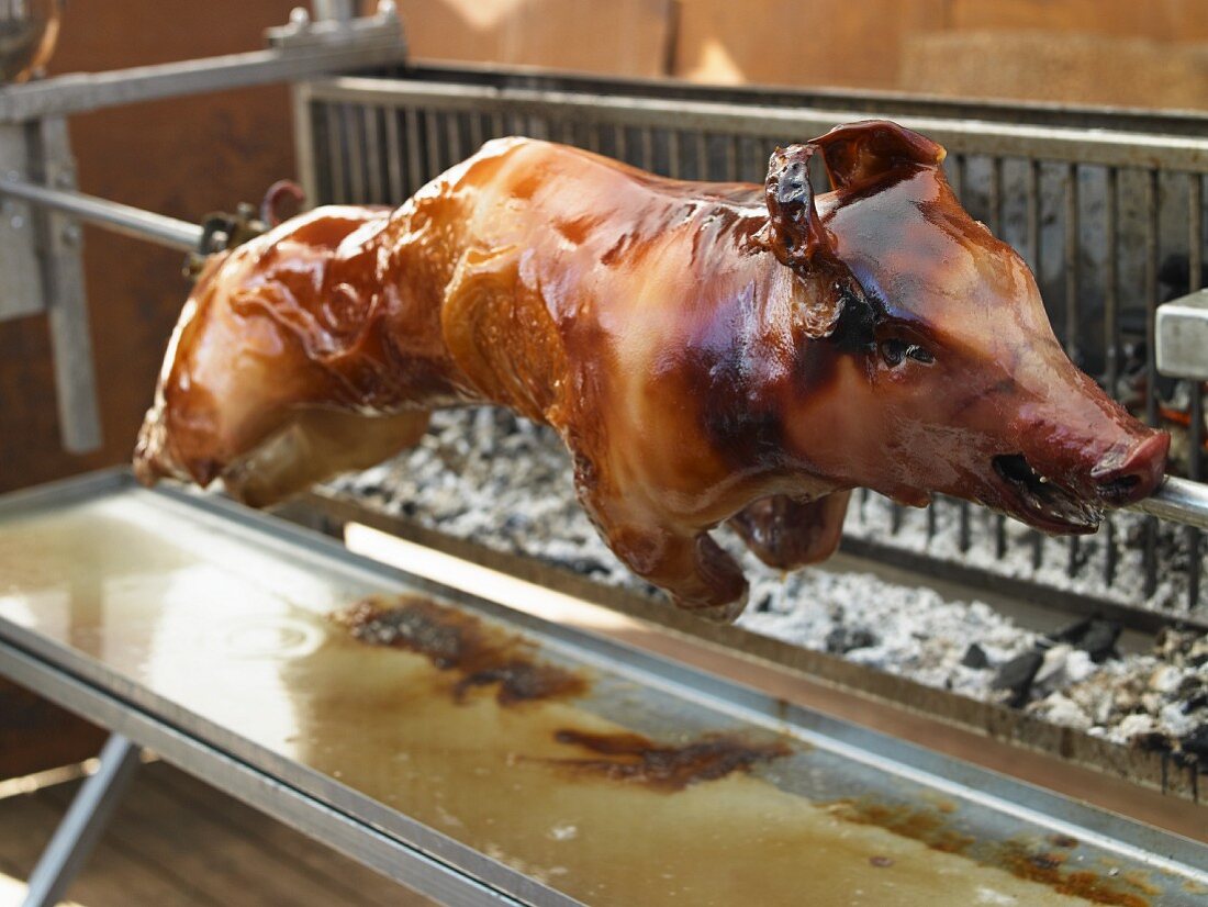 Glazed cochon de lait on a spit over a grill