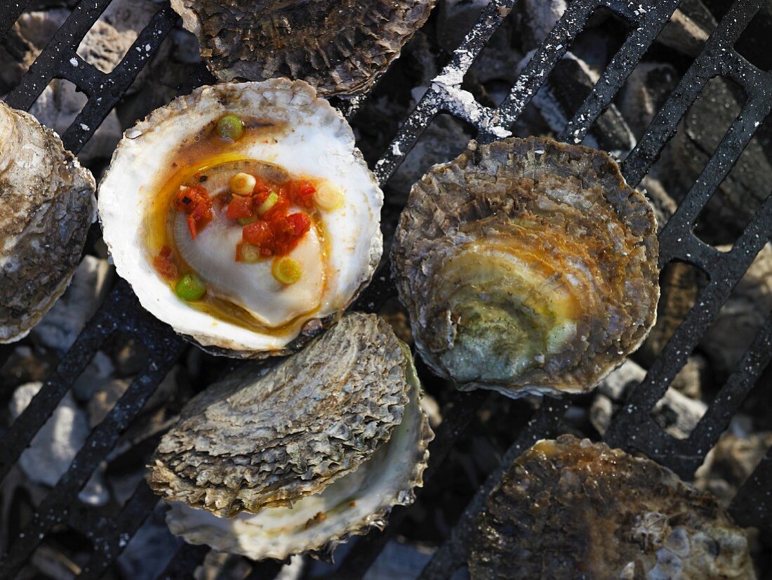 Oysters on a grill with a tomato and spring onion salsa