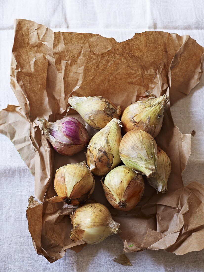 Onions on a piece of paper