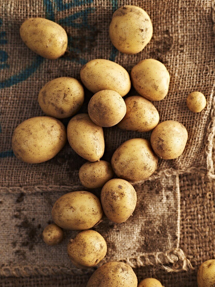 Neue Kartoffeln auf Kartoffelsack liegend