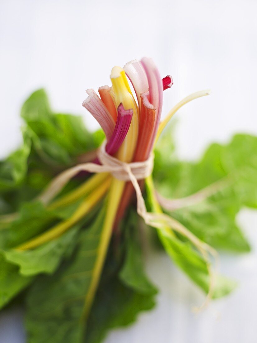 A bunch of colourful chard stems