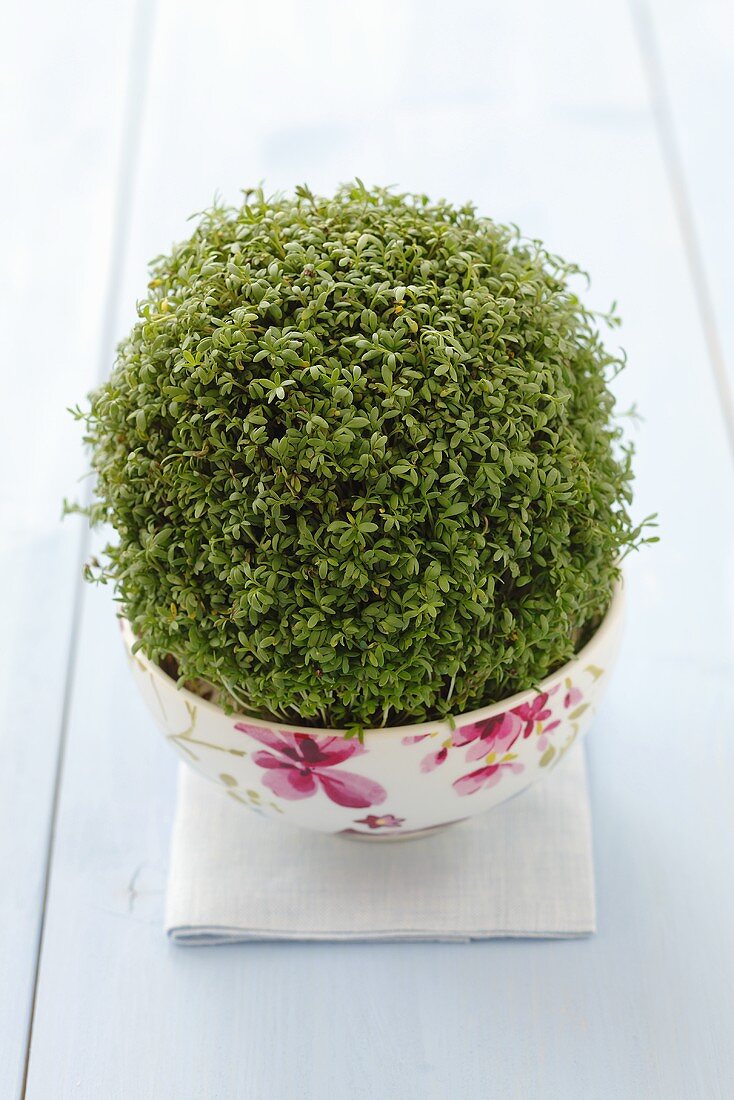 Fresh cress in a floral-patterned bowl